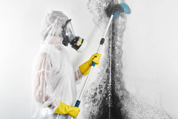 Best Crawl Space Mold Remediation  in Riley, KS