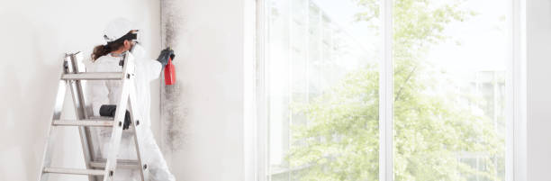 Best Residential Mold Inspection & Testing  in Riley, KS